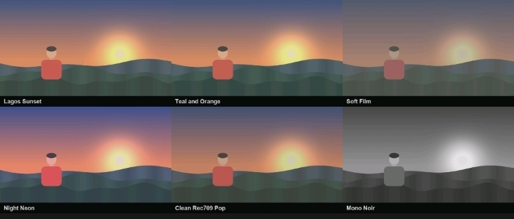 Original Camera LOG Footage